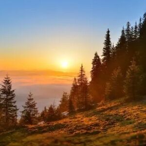 Meet your Posher, Elaine